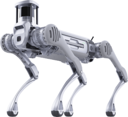 Unitree Quadruped B2 - Looking Glass XR