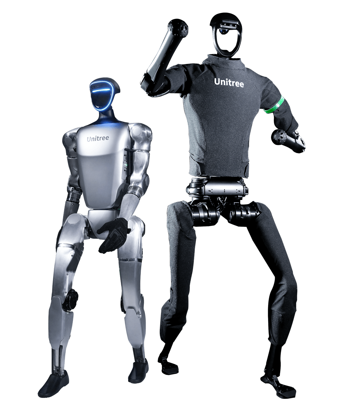 Robotic Humanoids - Looking Glass XR